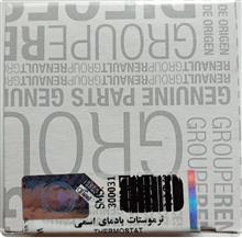 ترموستات
