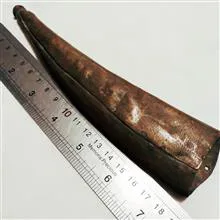 سرغلاف