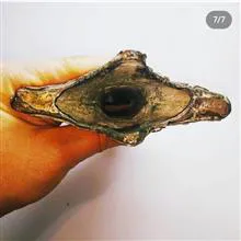 قبضه