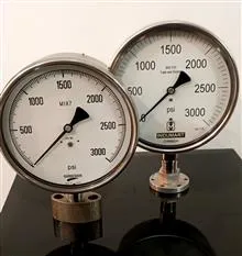 گیج3000psi