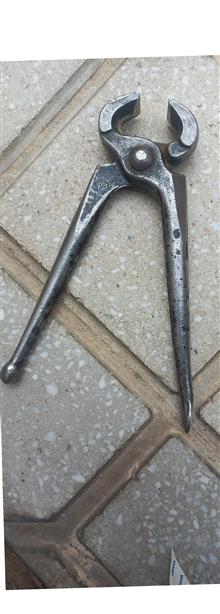 گاز