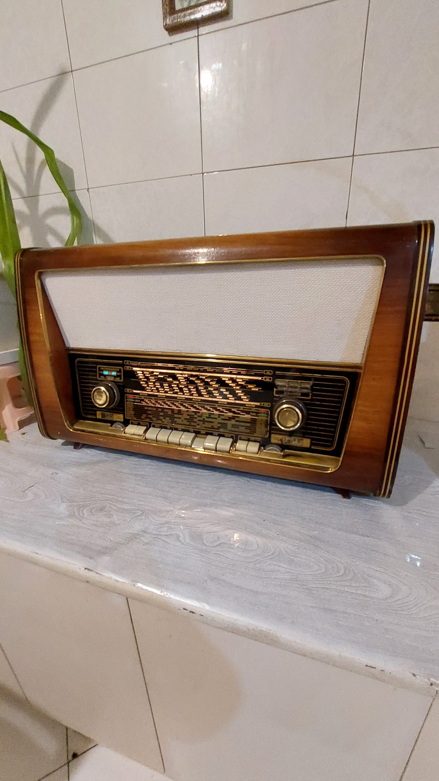 رادیو لامپی FMداربسیار بزرگ شاب لورنس المان