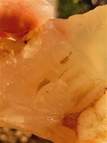 عقیق
