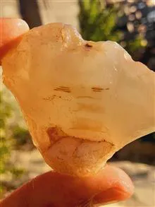 عقیق