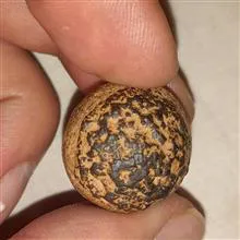 سنگ