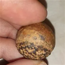 سنگ