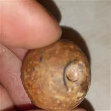 سنگ