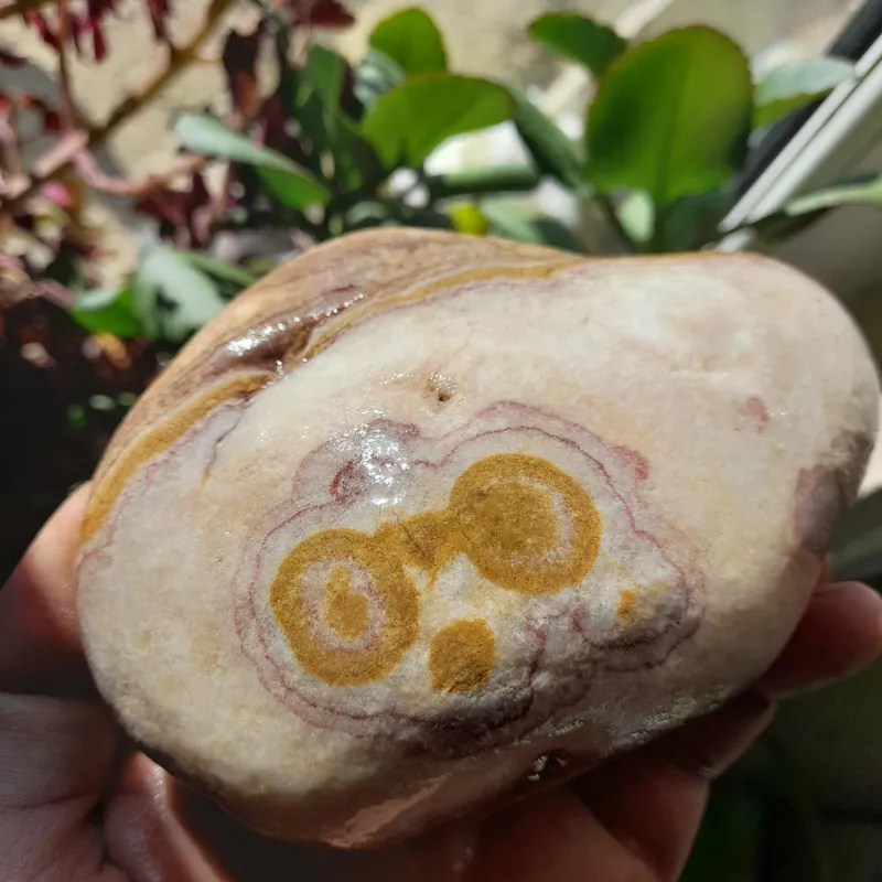 سنگ شکل دار چشم و عینک نایاب