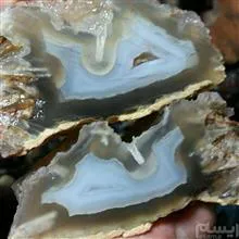 جفت