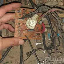 برد