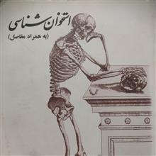 استخوان