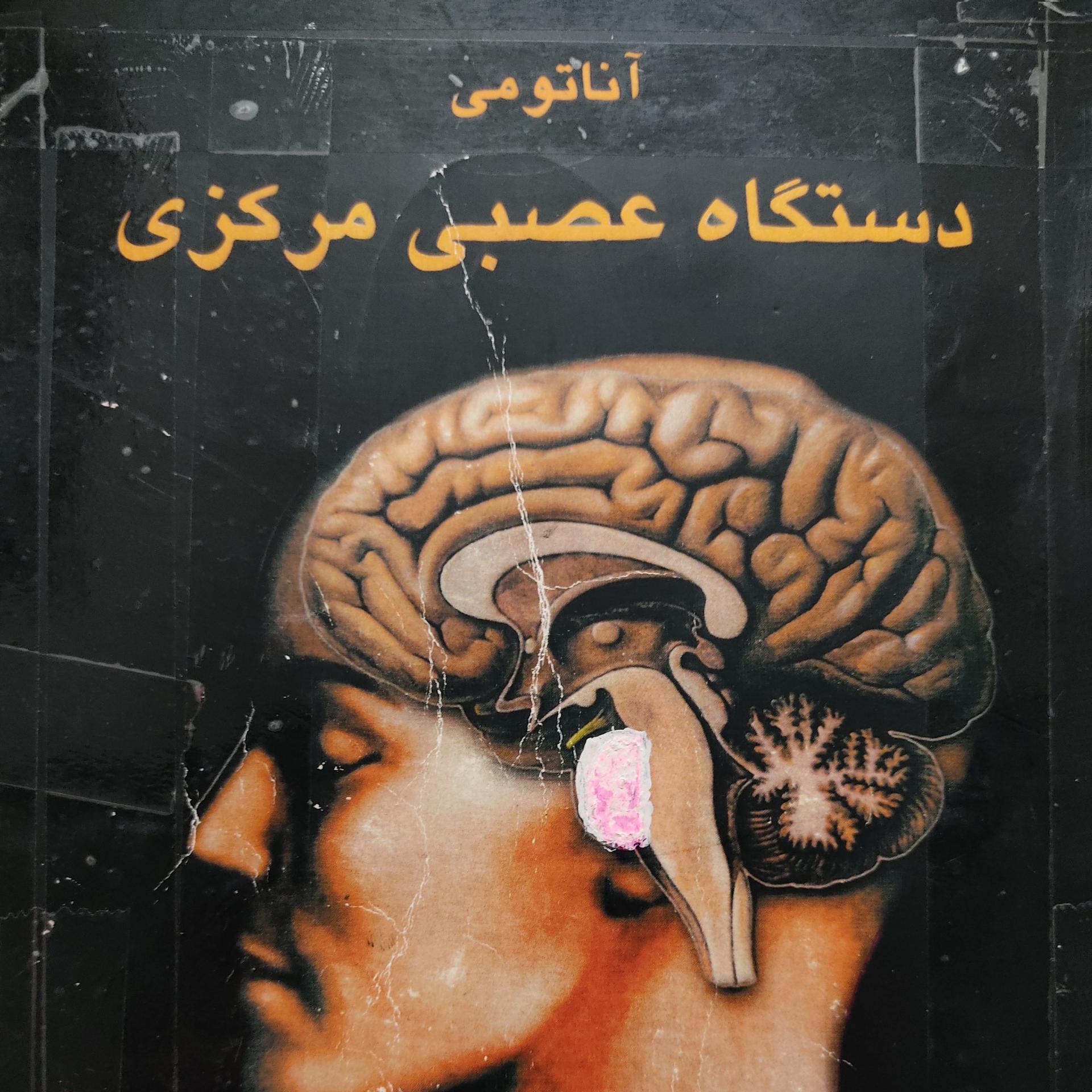 آناتومی دستگاه عصبی مرکزی