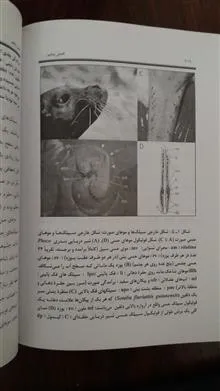 بیولوژی