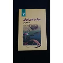 حیات