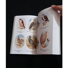 حیات