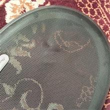قابد