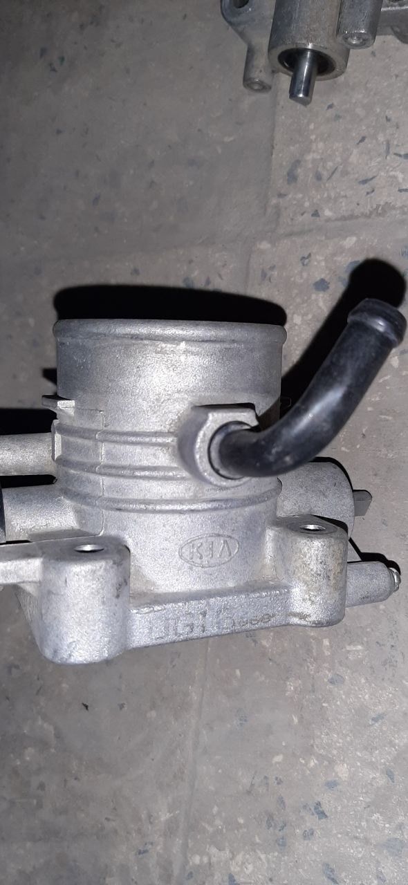 دریچه گاز اورجینال ریو، Kia