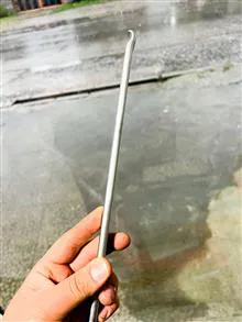تایلیور
