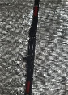 کاسی