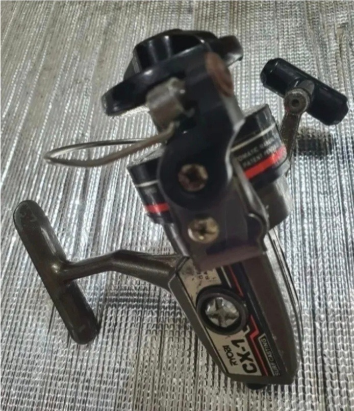 چرخ ریوبی، غول ژاپنی، قدرتی، سالم و تمیز