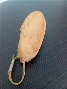 کفش