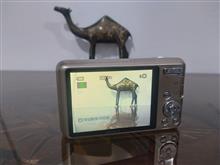 دوربین