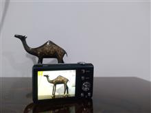 دوربین