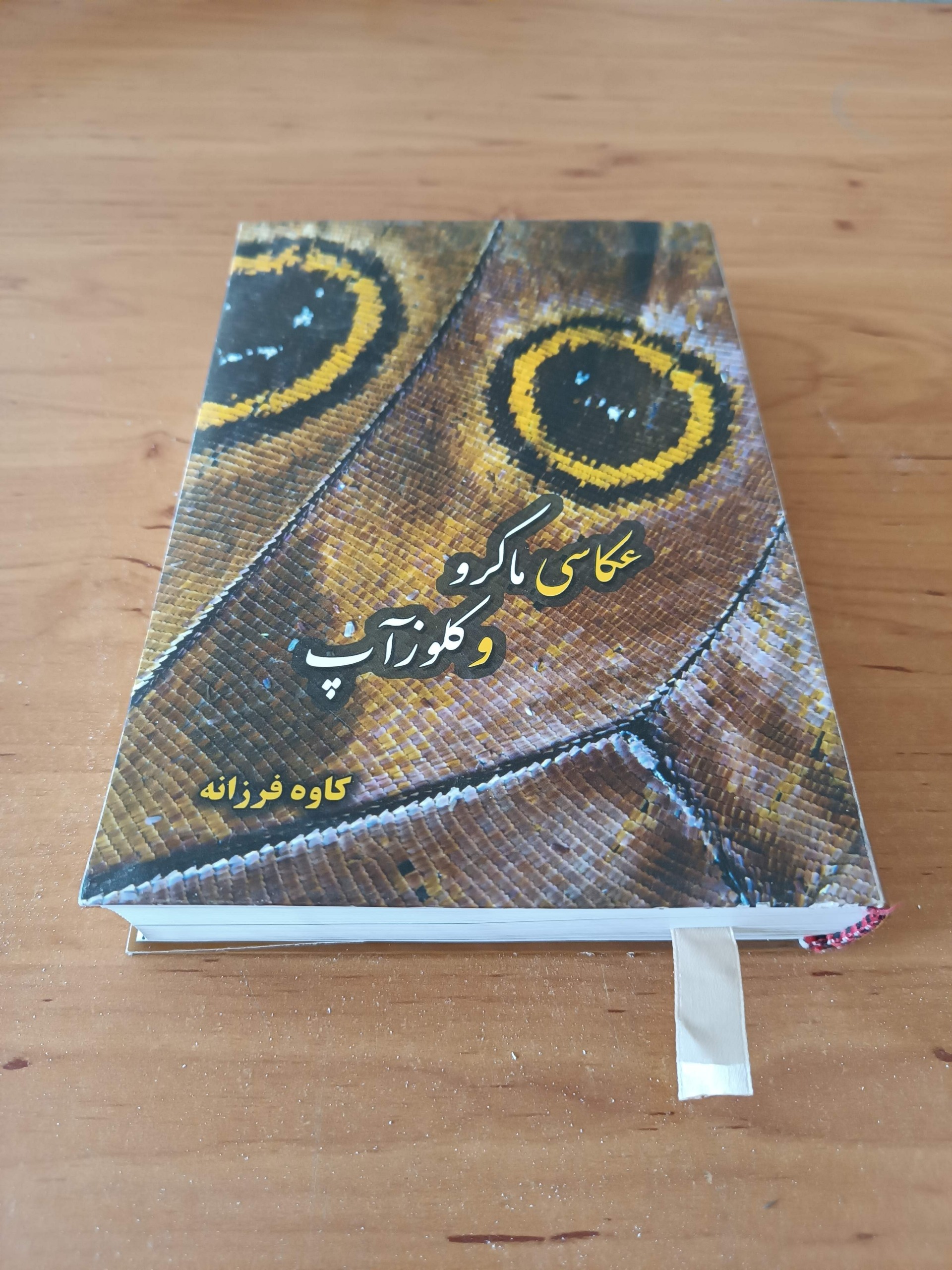 عکاسی ماکرو و کلوزآپ کاوه فرزانه
