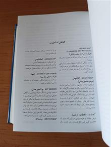 فرهنگ