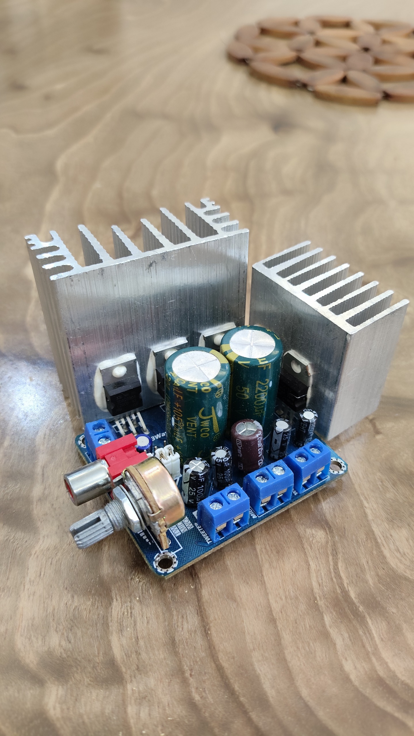 آمپلی فایر Hi-Fi مونو 60 وات با کراس اور اکتیو
