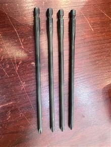سرپیچگوشتی