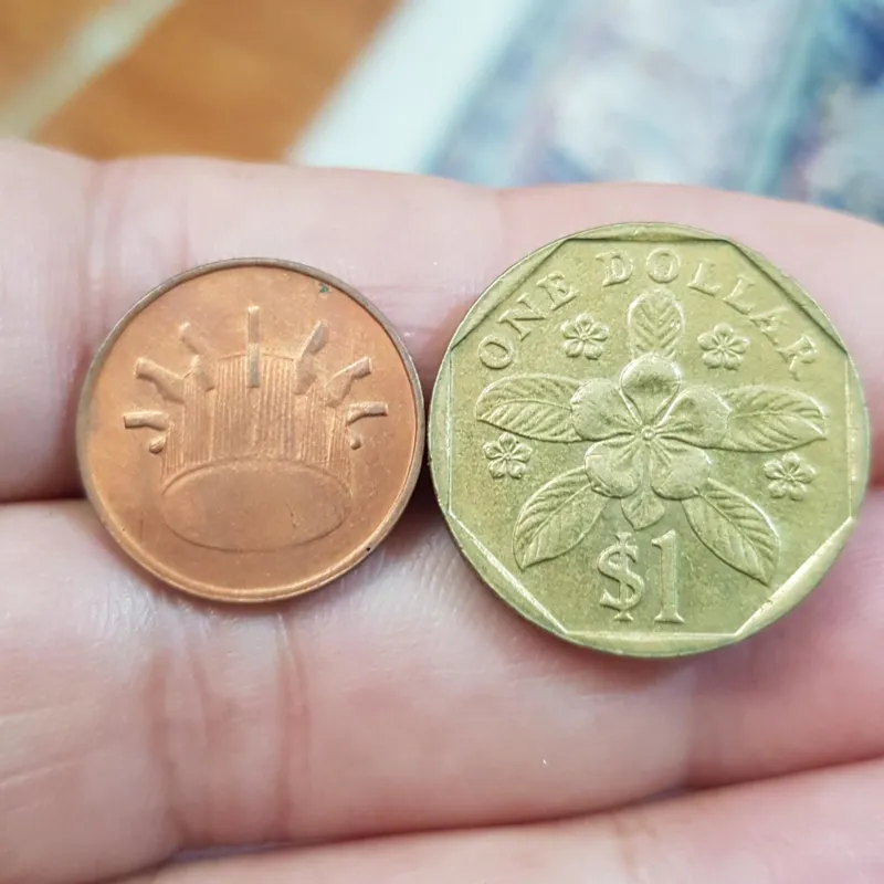 2عددسکه سنگاپورومالزی کد254