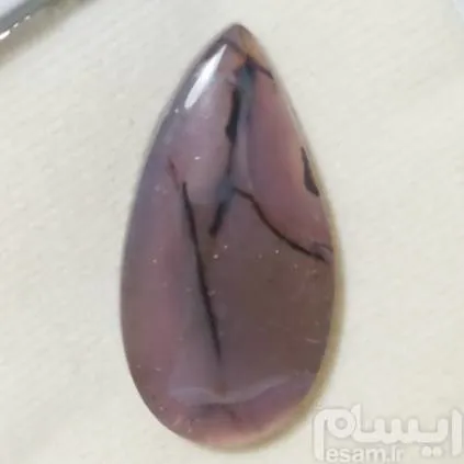 شجر گردنی حرف k انگلیسی