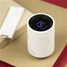 ترموستات