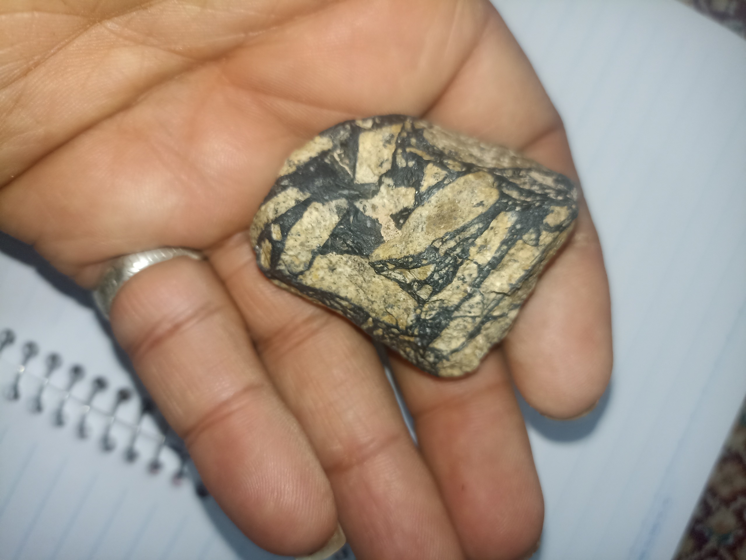 مشکوک شهاب سنگ نادر