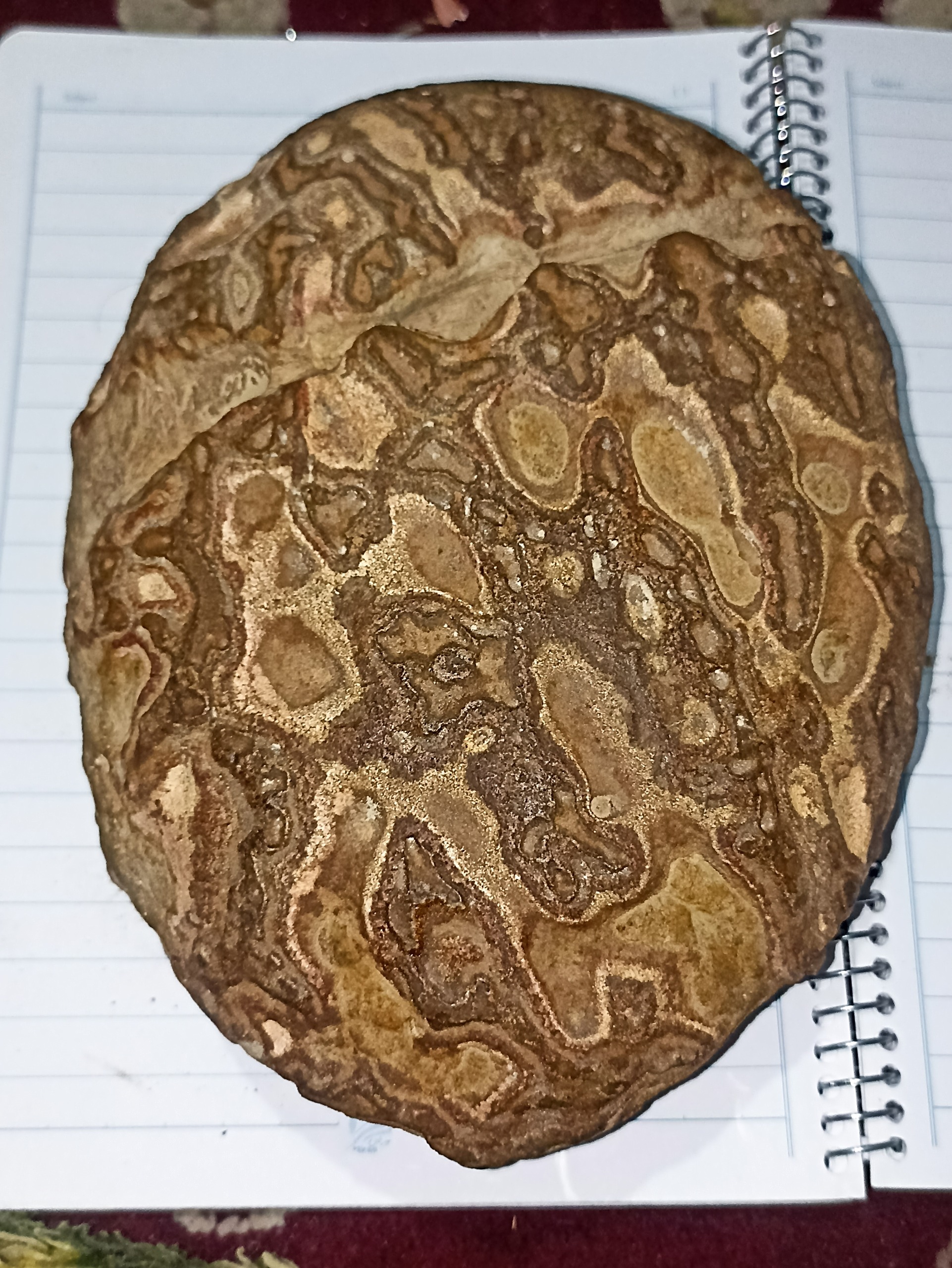 شهاب سنگ نمونه تک