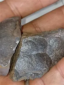 دوعدد