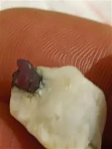یاقوت