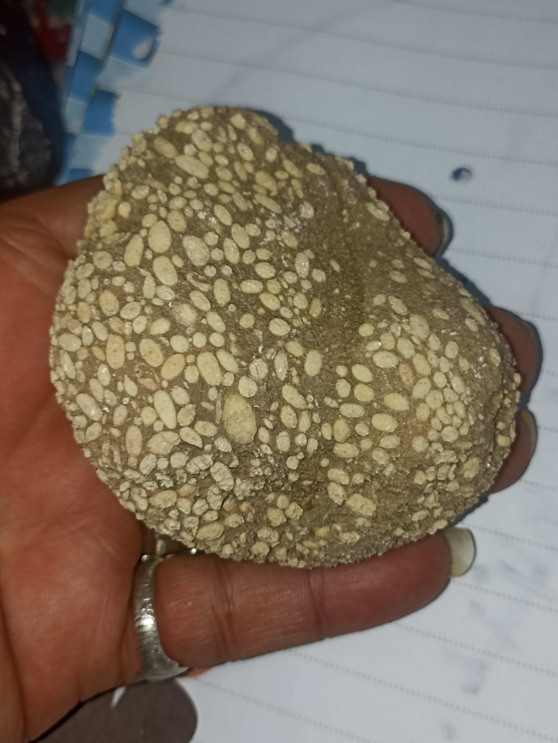 سنگ دانه دانه کلکسیونی