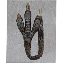 تسبیح