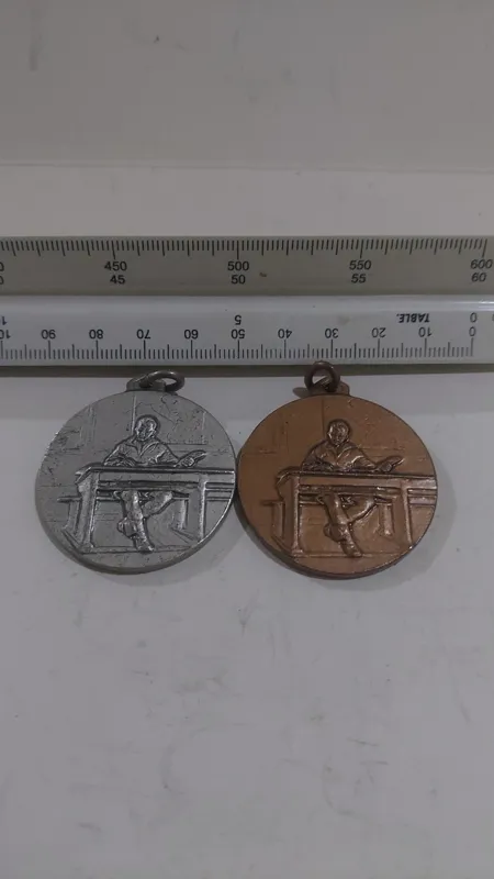 جفت مدال نقره ای وبرنزی دبستان ایران سویس