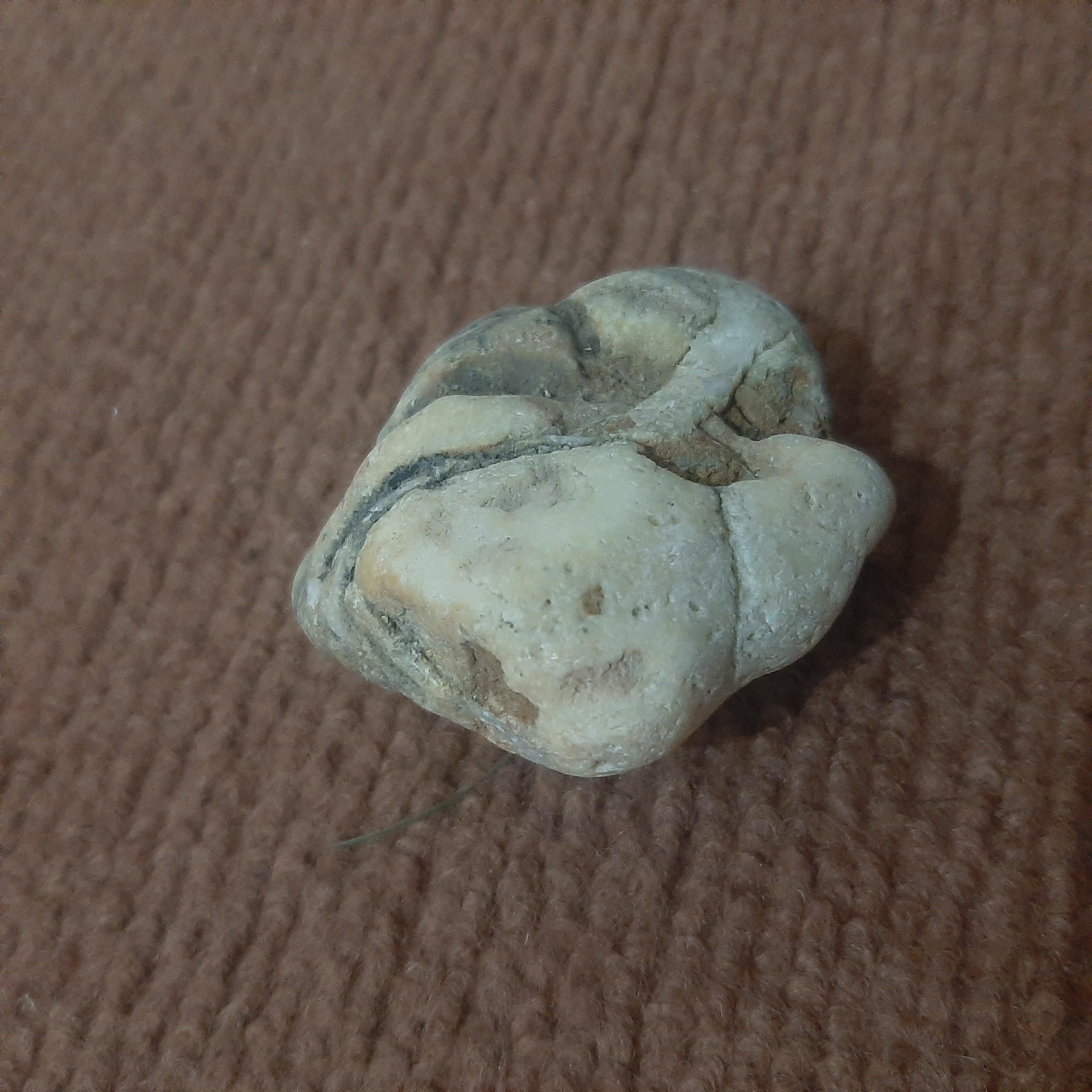 سنگ رسوبی اترک