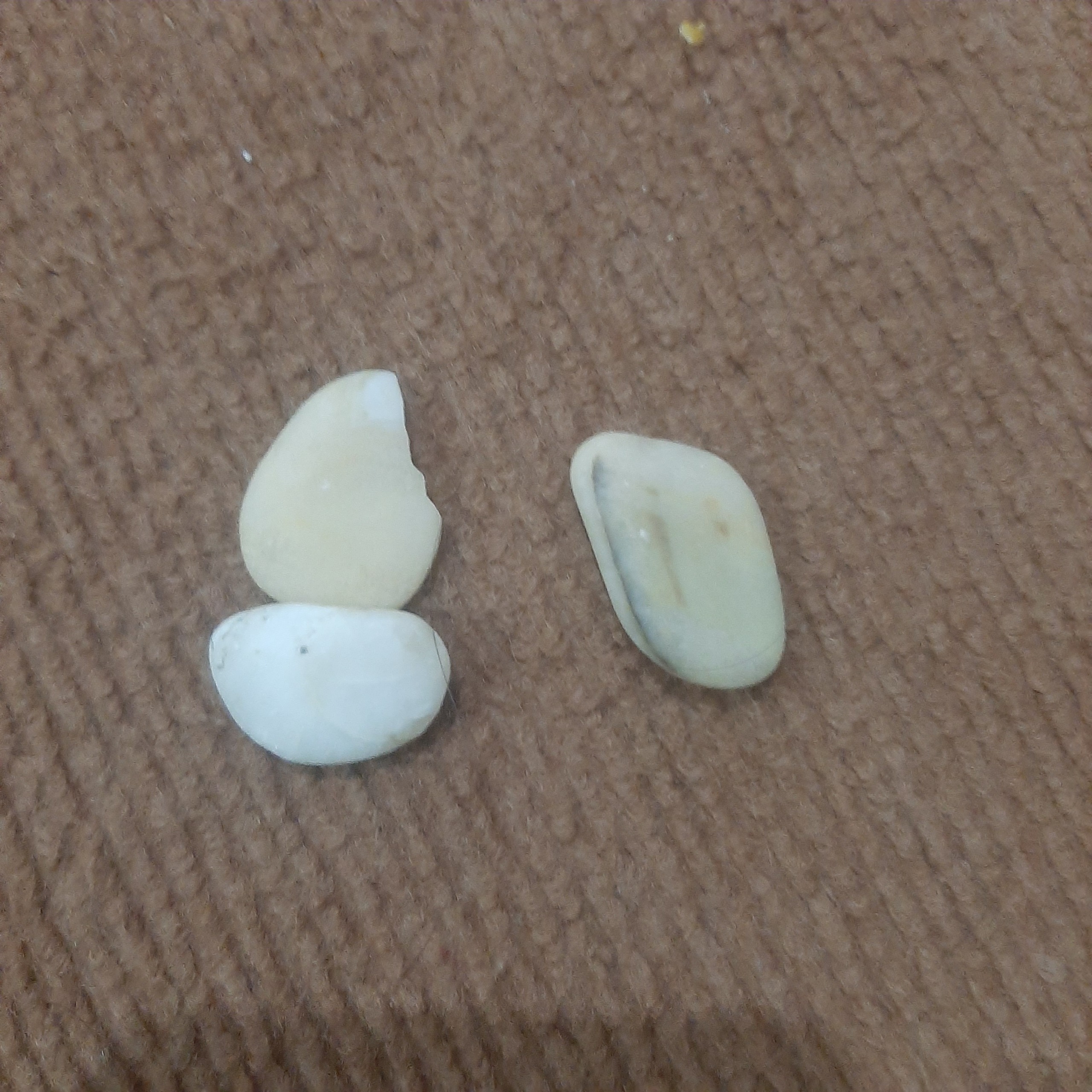 سنگ راف و سنتور