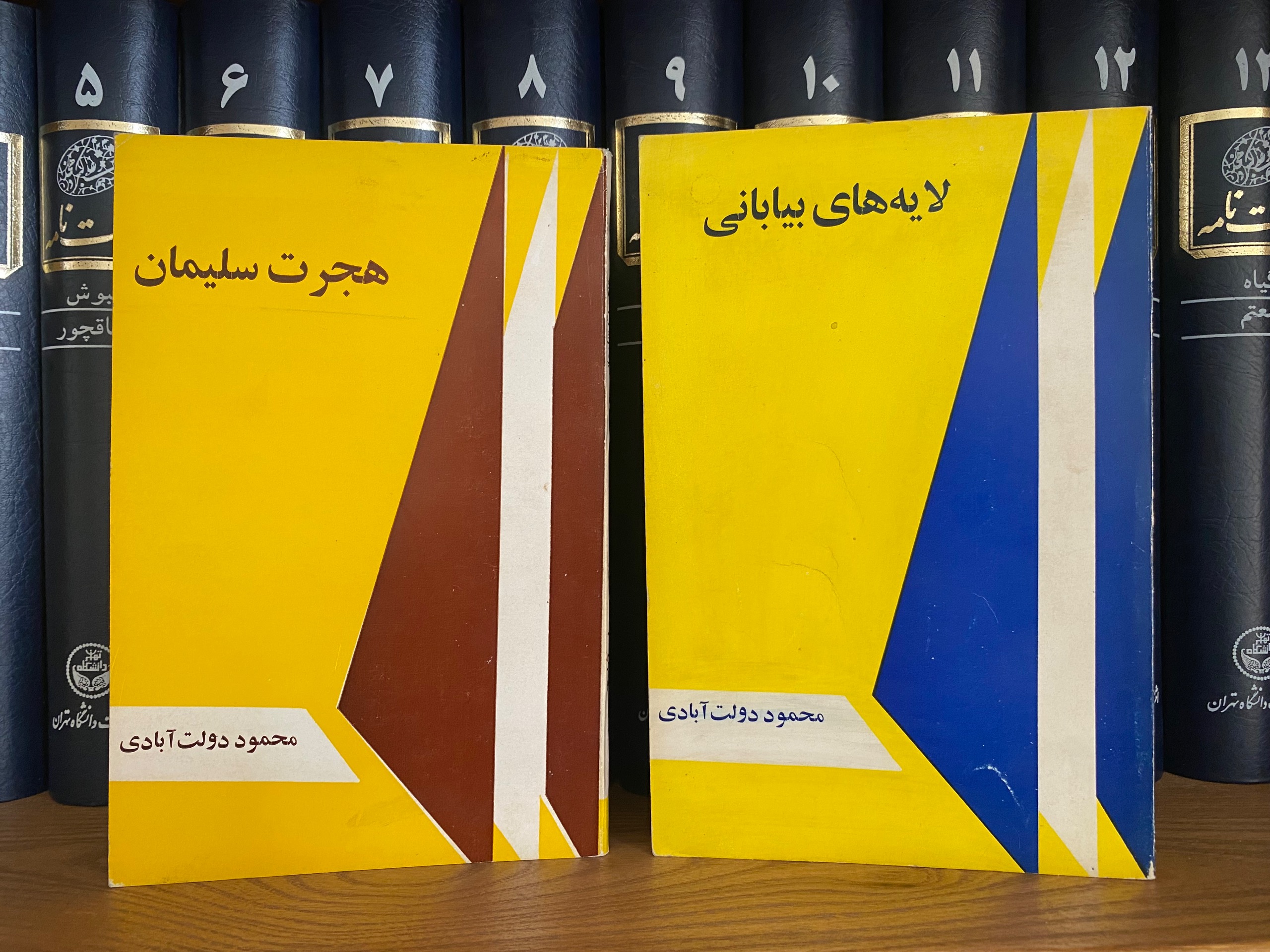 هجرت سلیمان و لایه های بیابانی محمود دولت آبادی