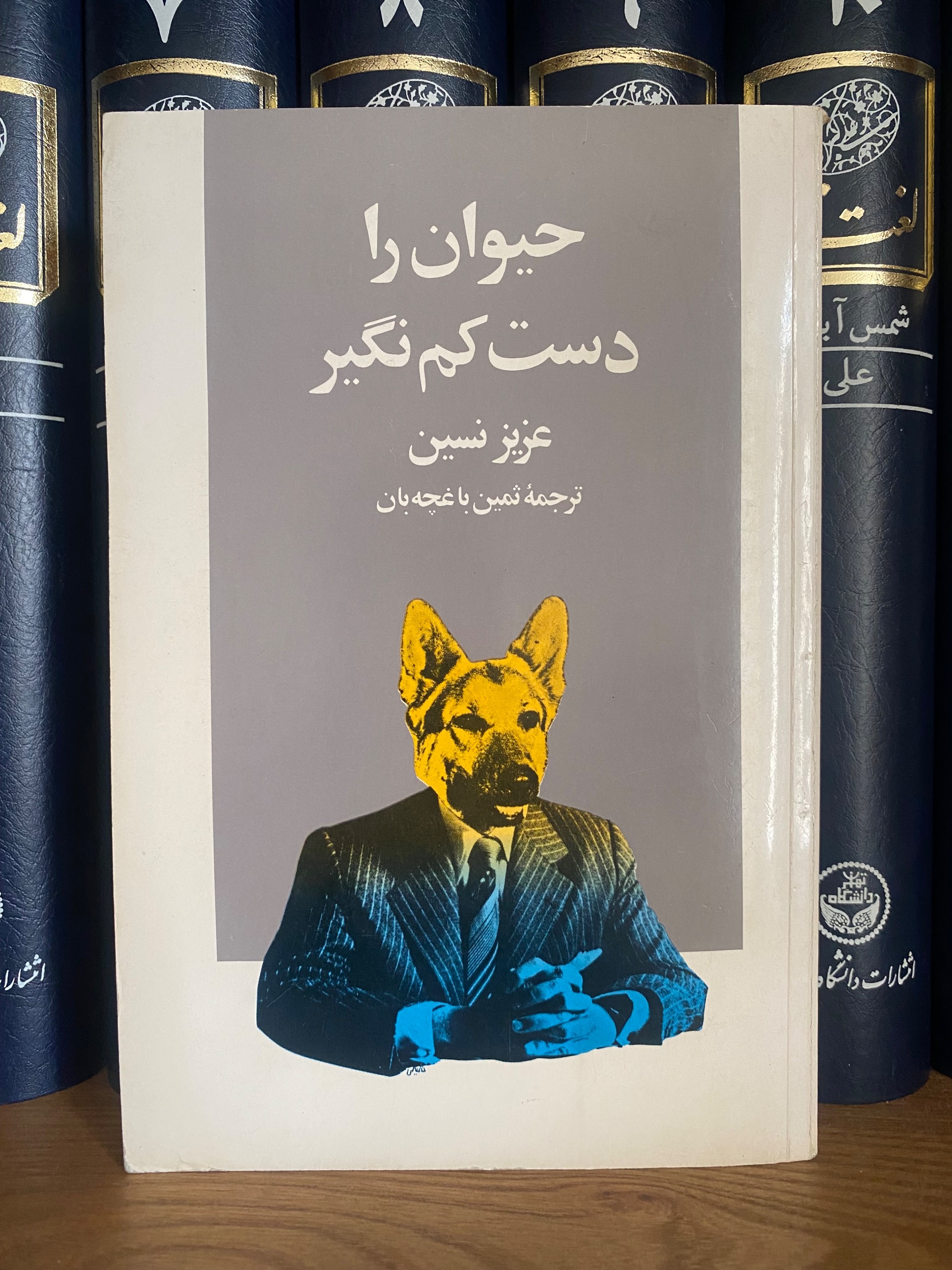 کتاب حیوان را دست کم نگیر ثمین باغچه بان 1357