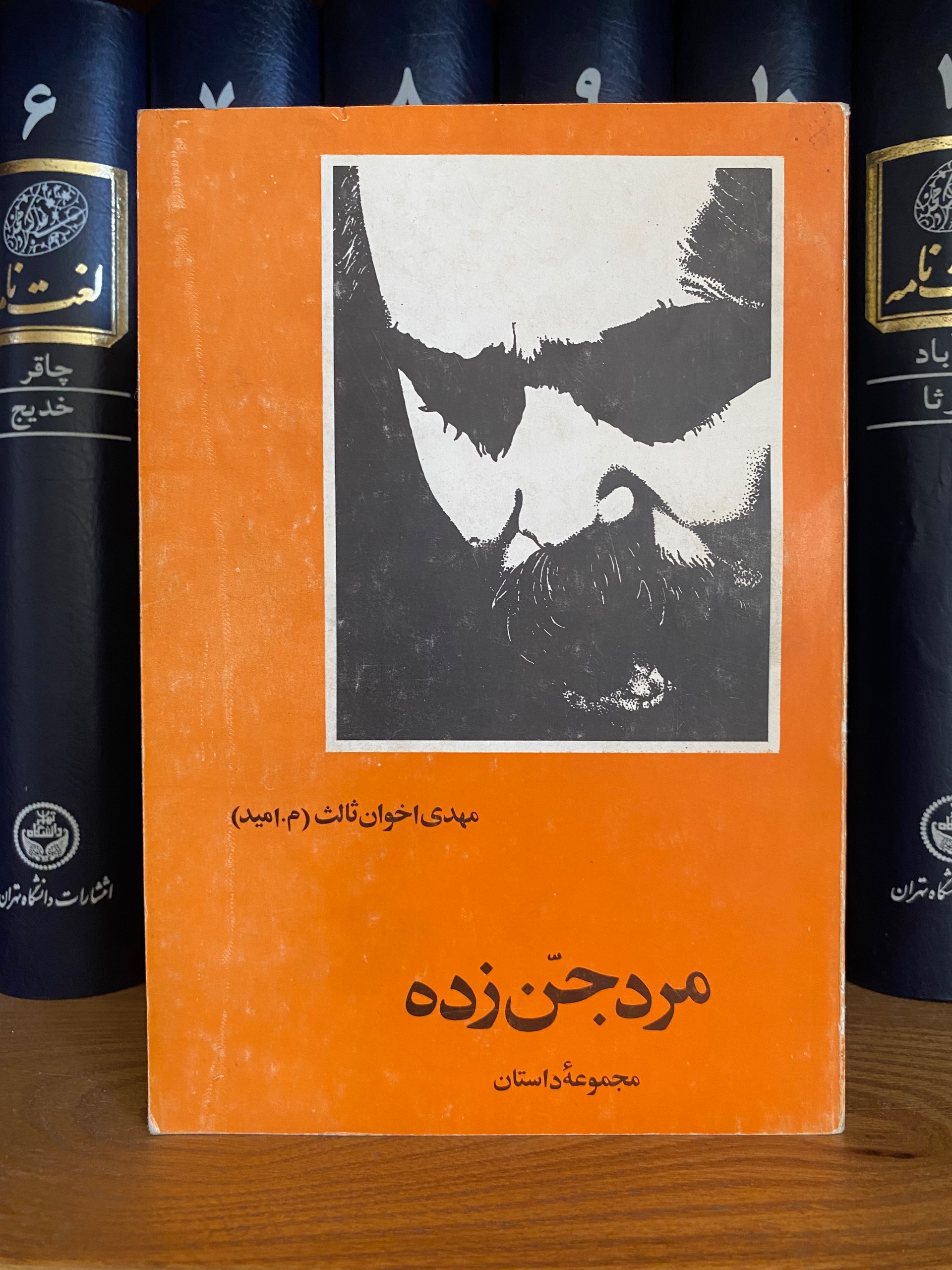 کتاب مجموعه داستان مرد جن زده مهدی اخوان ثالث