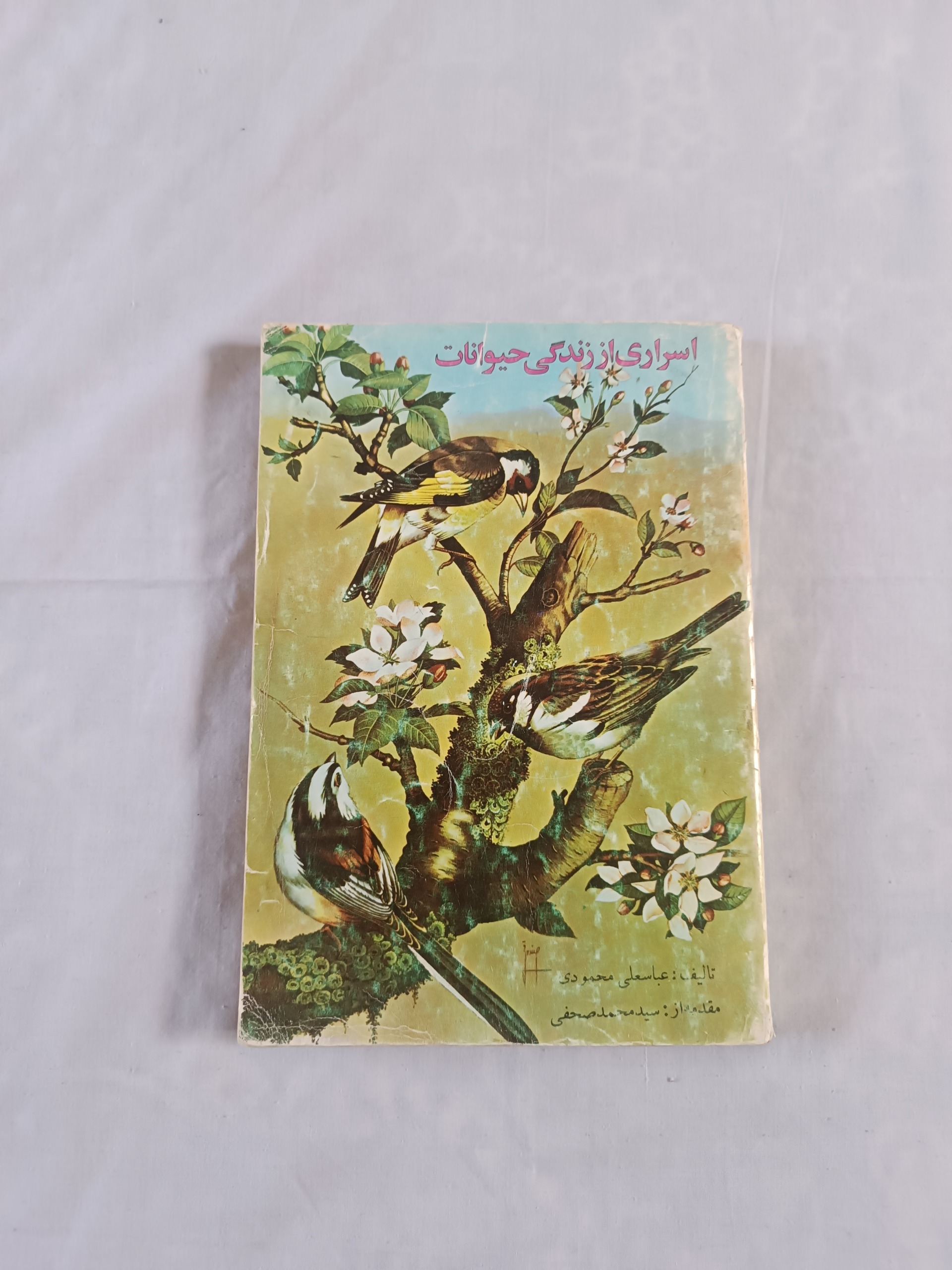 اسراری از زندگی حیوانات