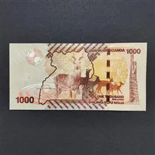 اسکناس