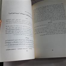 آفات