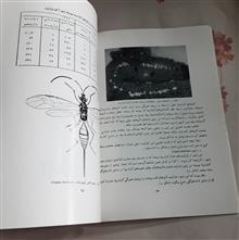 آفات